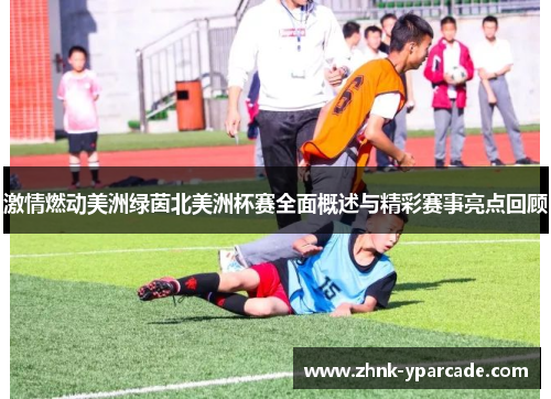 激情燃动美洲绿茵北美洲杯赛全面概述与精彩赛事亮点回顾
